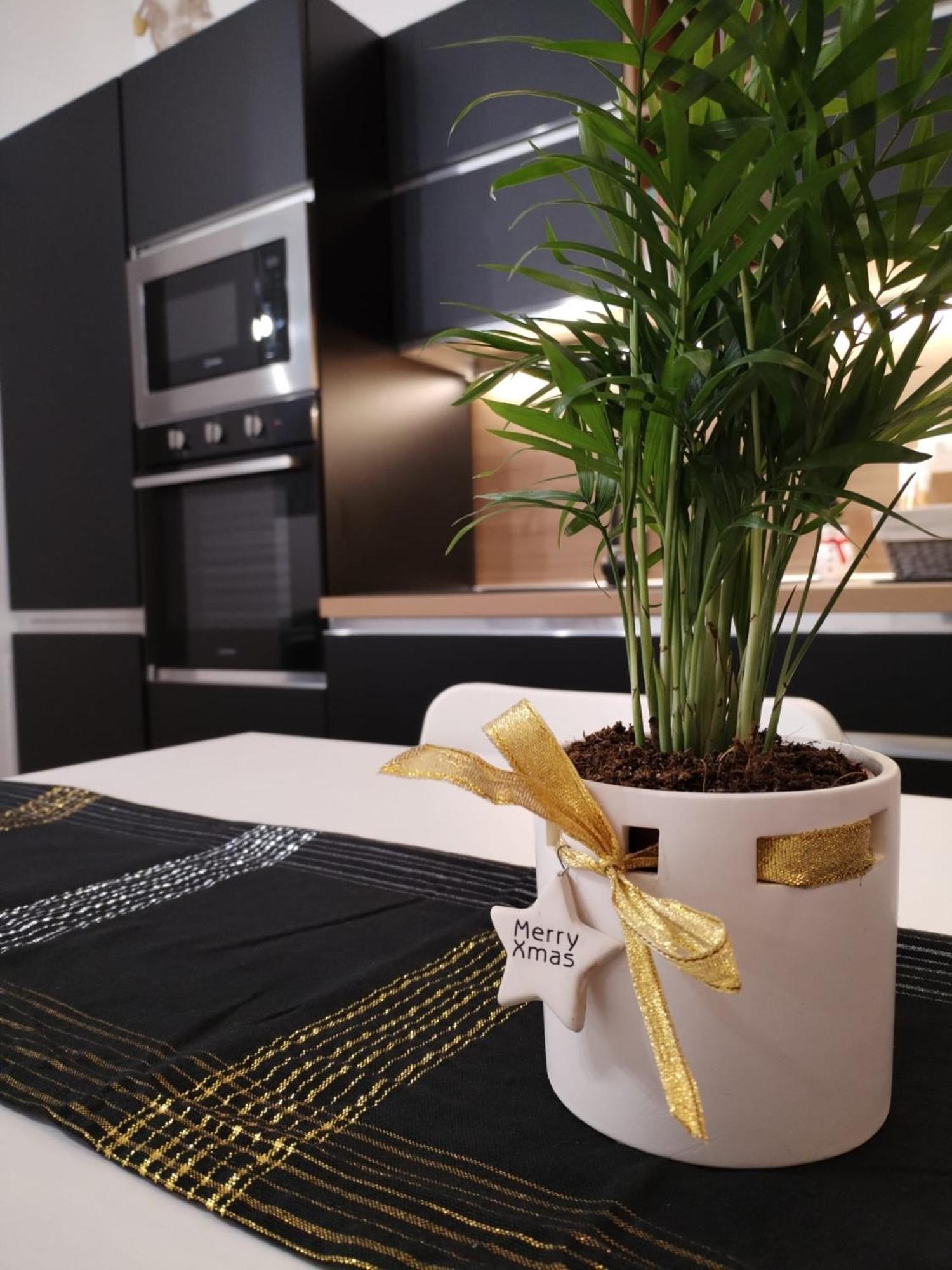 Central Loft Carina Ideale Per Visitare Il Centro Di Torino 외부 사진